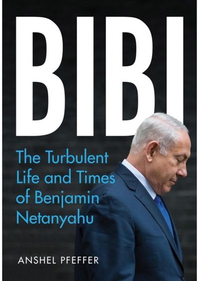 Bibi The Turbulent Life