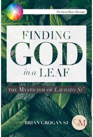 Finding God in a Leaf: The Mysticism of Laudato Si' The Mysticism of Laudato Si'