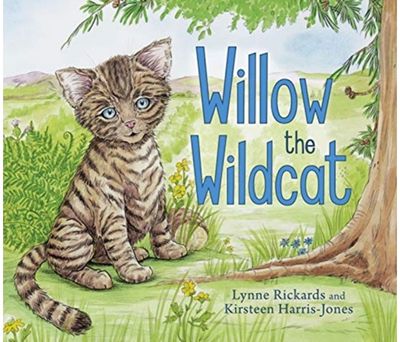 Willow the Wildcat