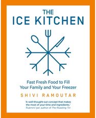Ice Kitchen Fast Fresh Food to Fill Your Family and Your Freezer