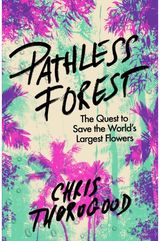 Pathless Forest The Quest to Save