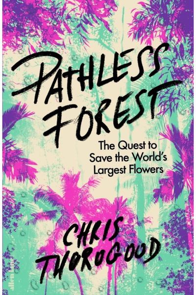 Pathless Forest The Quest to Save