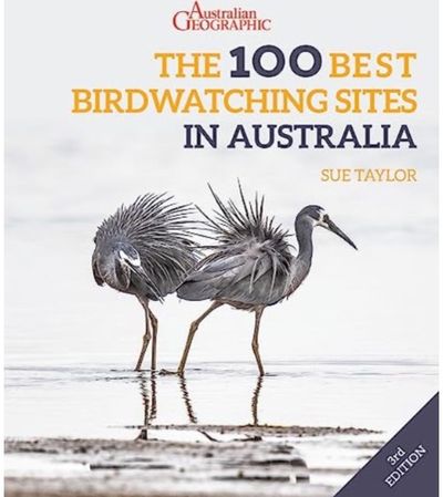 100 Best