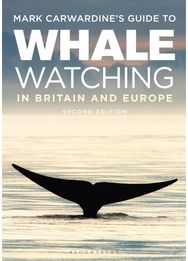 Mark Carwardine's Guide To Whale Watching In Britain And Europe