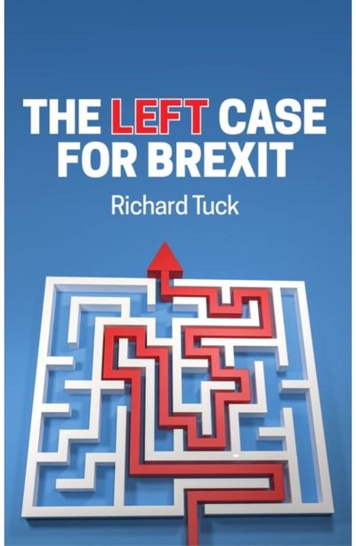 Left Case for Brexit Reflections on the