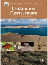 Lanzarote and Spain