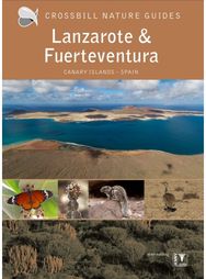 Lanzarote and Fuerteventura: Spain Spain