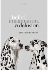 Belief, Imagination,