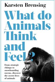 What Do Animals Think and Feel?