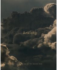 Anxiety Meditations on the Anxious Mind