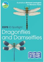 RSPB ID Spotlight - Dragonflies and Damselflies