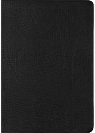 ESV New Testament with Psalms and Proverbs