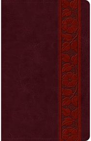 ESV Large Print Personal Size Bible, Red Letter