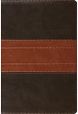 ESV Study Bible,