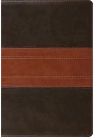 ESV Study Bible, Personal Size