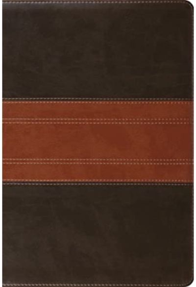ESV Study Bible,