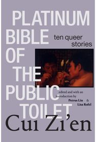 Platinum Bible of the Public Toilet: Ten Queer Stories Ten Queer Stories