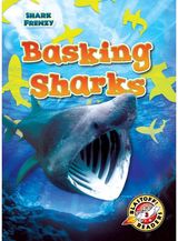 Basking Sharks