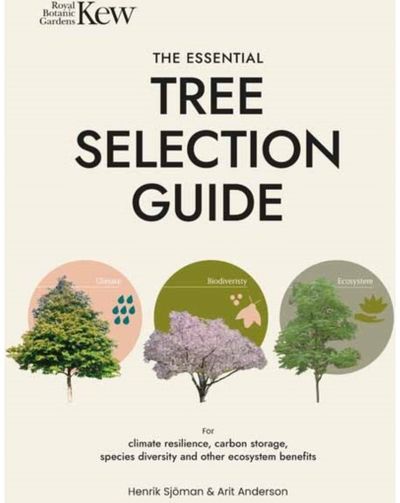 Essential Tree For Climate