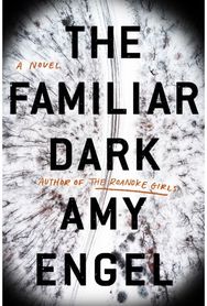 Familiar Dark: A Novel A Novel