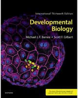 Developmental
