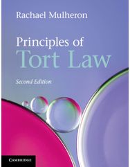 Principles of Tort Law