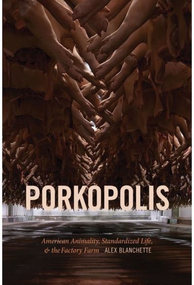 Porkopolis American Animality,