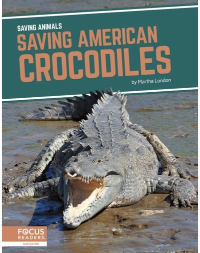 Saving American