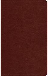 ESV Pocket Bible