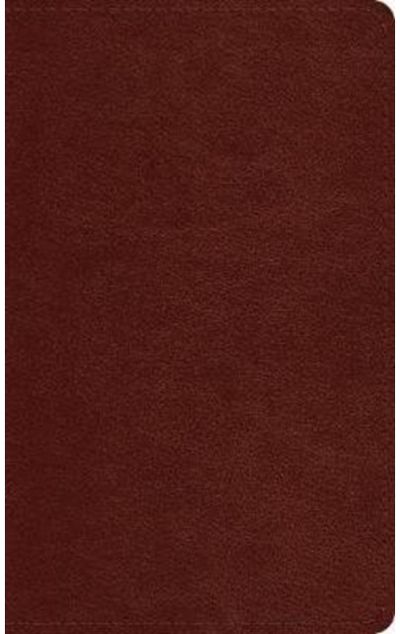ESV Pocket Bible