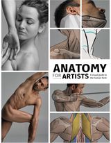 Anatomy for Artists A visual guide to
