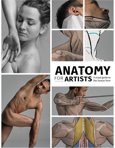 Anatomy for Artists A visual guide to