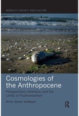 Cosmologies of the Panpsychism,
