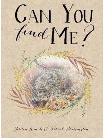 Can You Find Me?