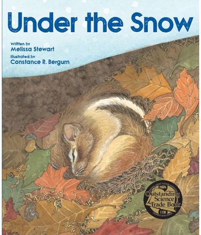 Under the Snow