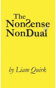 NonSense of NonDual: From Mindfulness to Oneness From Mindfulness to Oneness