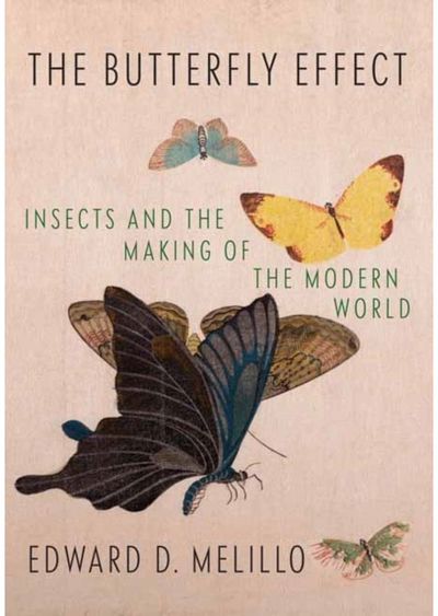 Butterfly Effect Insects and the