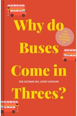 Why do Buses Come in The Hidden