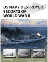 US Navy Destroyer
