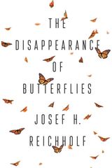 Disappearance of Butterflies
