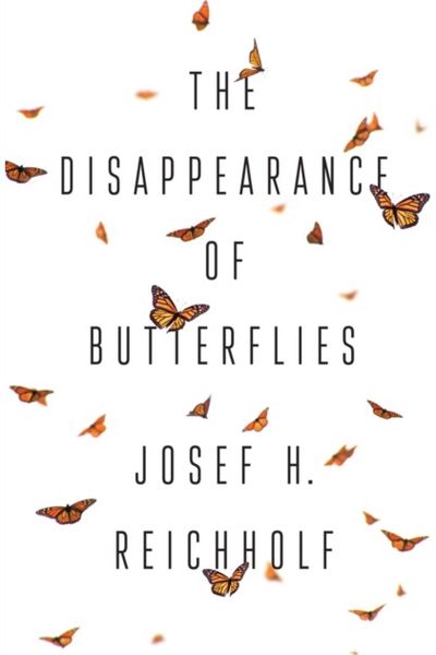 Disappearance of Butterflies