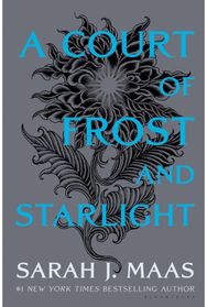 Court of Frost and Starlight