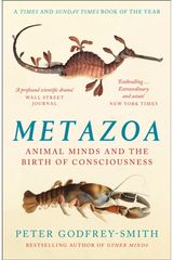 Metazoa Animal Minds and the