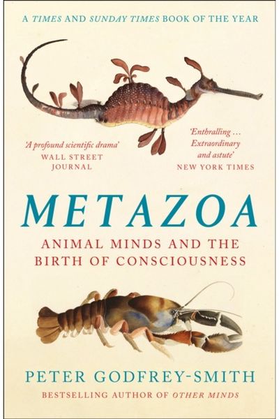 Metazoa Animal Minds and the