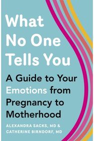 What No One Tells You A Guide to Your Emotions from Pregnancy to Motherhood