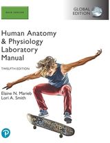 Human Anatomy &
