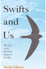 Swifts and Us The Life of the Bird That Sleeps in the Sky