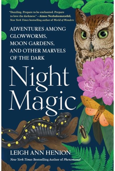 Night Magic