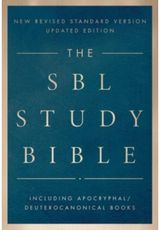 SBL Study Bible