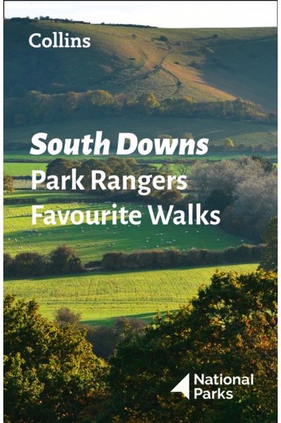 South Downs Park 20 of the Best